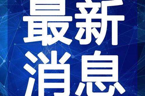 欧美说唱爆料视频大全最新,揭秘地下音乐圈的精彩瞬间  第3张